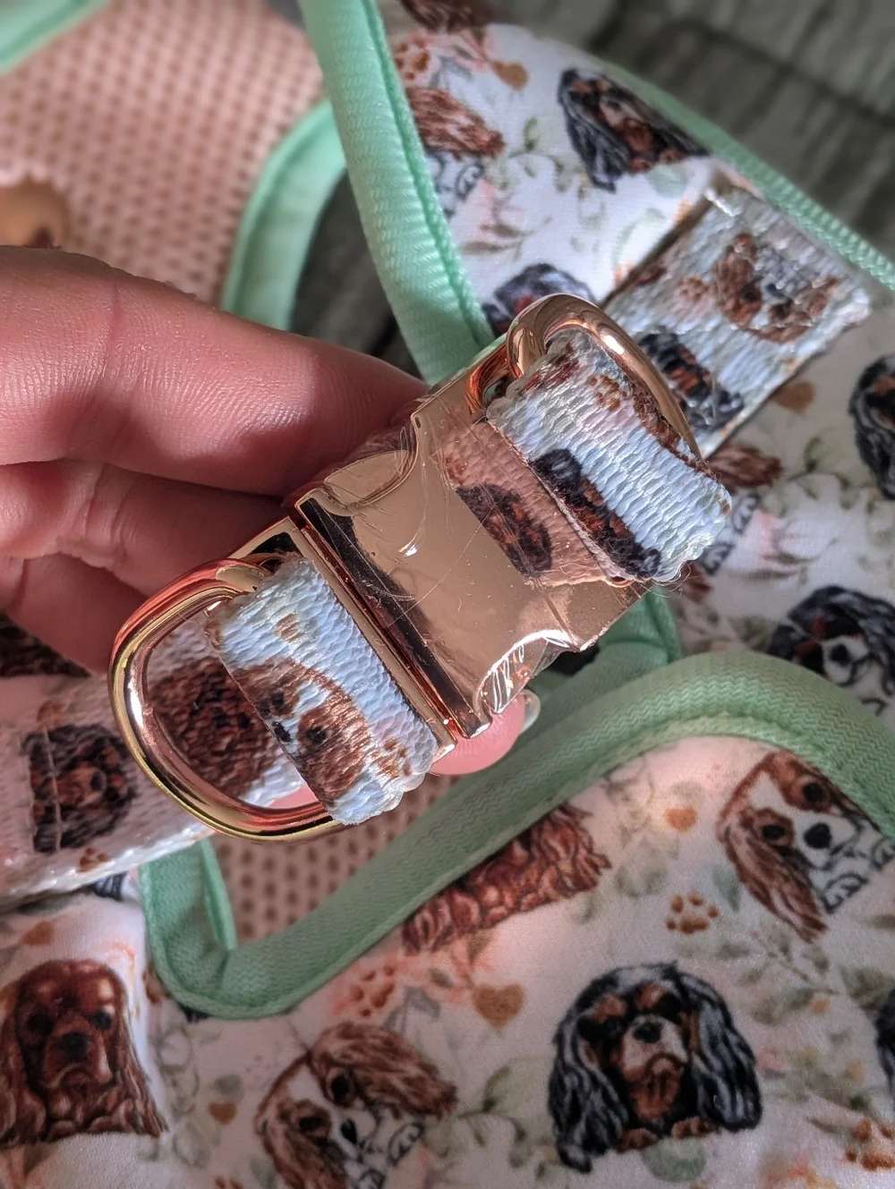 NWOT Cavology Step In Harness